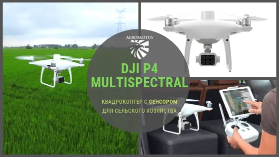 DJI P4 Multispectral — точные сельскохозяйственные данные
