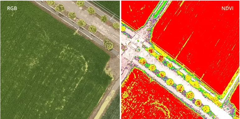 Комплексное решение для точного земледелия DJI P4 Multispectral + D-RTK 2 станция GNSS + DJI Terra