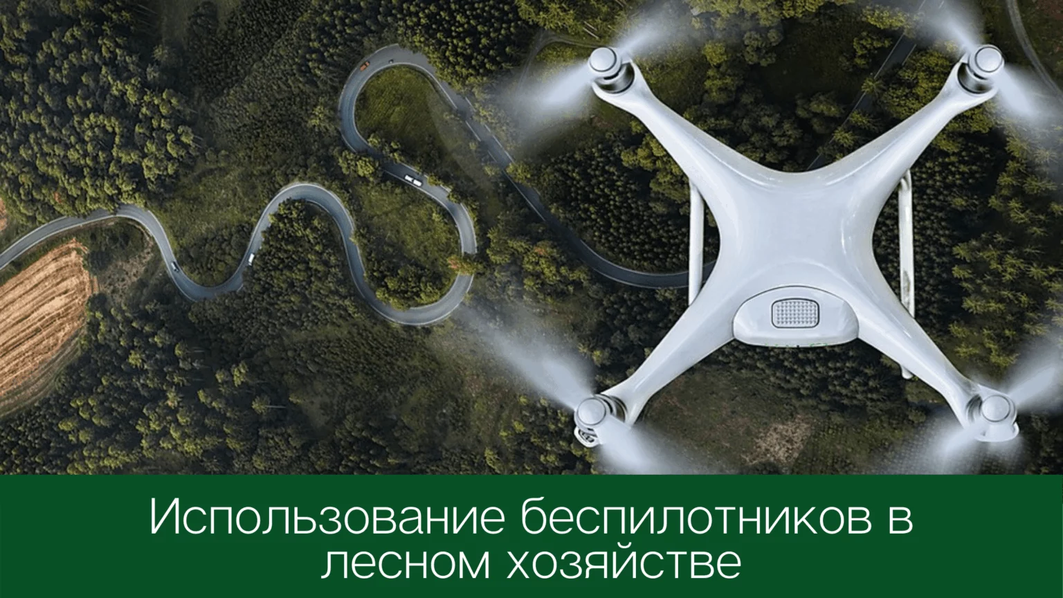 Использование беспилотников в лесном хозяйстве