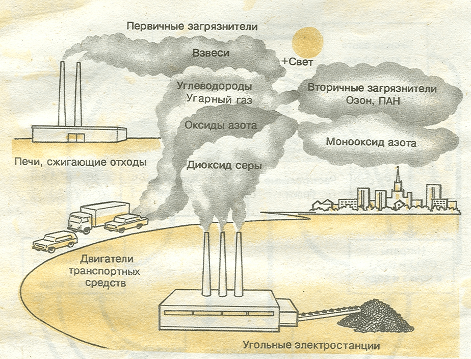 Озон сернистый газ