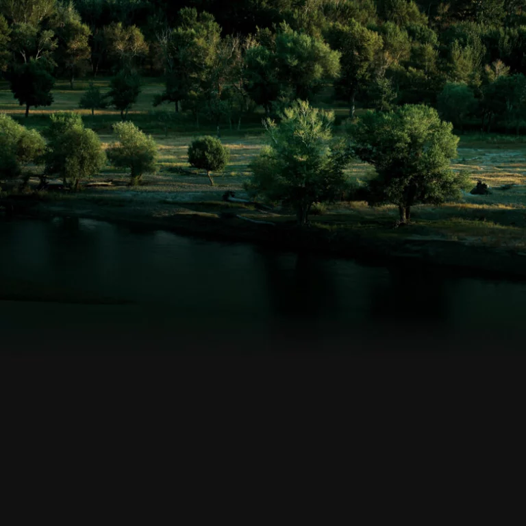 Камера для дрона DJI Zenmuse P1