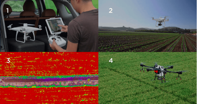 P4 Multispectral — интеллектуальный сельскохозяйственный инструмент - индексы растительности