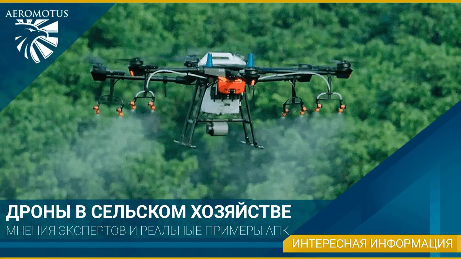 Дроны в сельском хозяйстве: мнения экспертов и реальные примеры АПК