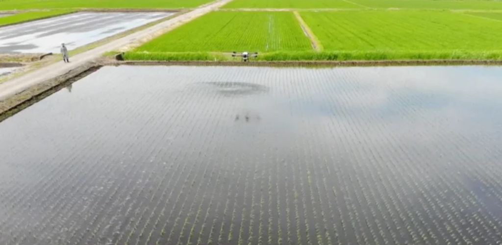 Япония активно внедряет дроны-распылители на фермах