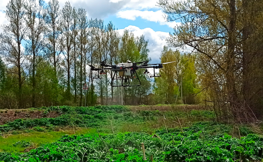 ООО «Агромир» повысил эффективность с помощью дронов DJI почти в 3 раза - Точное земледелие