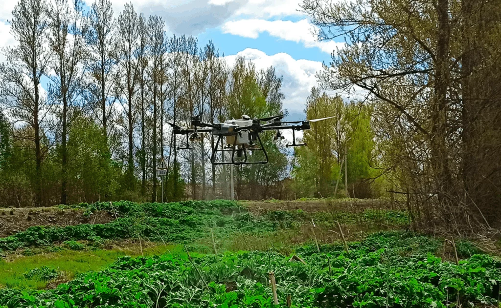 ООО «Агромир» повысил эффективность с помощью дронов DJI почти в 3 раза