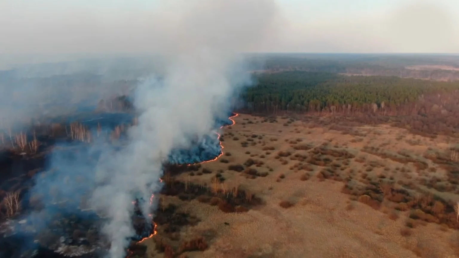 Практический опыт применения лесопожарной службы беспилотников DJI