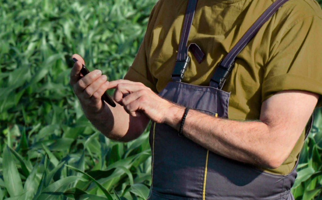 DJI выпустили новый дрон Mavic 3 Multispectral для агрономов и экологов - Сельское хозяйство