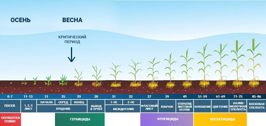 Беспилотники для российского сельского хозяйства