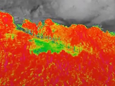 Мультиспектральная съемка с дронов для лесного хозяйства - мультиспектральная съемка