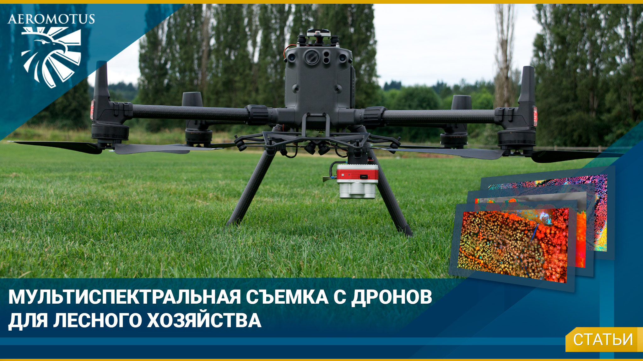 Мультиспектральная съемка с дронов для лесного хозяйства - Интересная информация