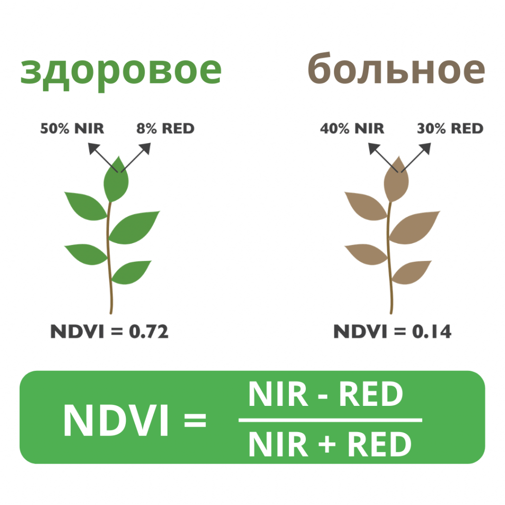 Обзор возможностей индекса NDVI - индексы растительности