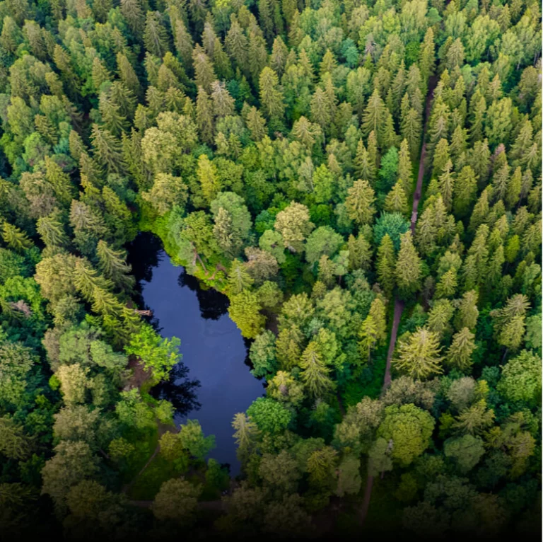 Тепловизионная камера DJI Zenmuse H30T для дронов