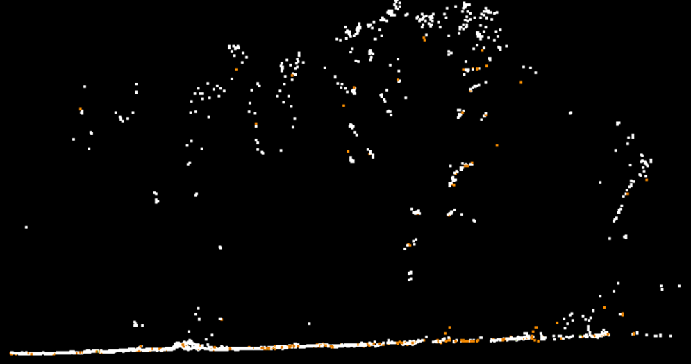 Полнота данных DJI Zenmuse L2, визуализация точек по номеру возврата луча, высота 200 м