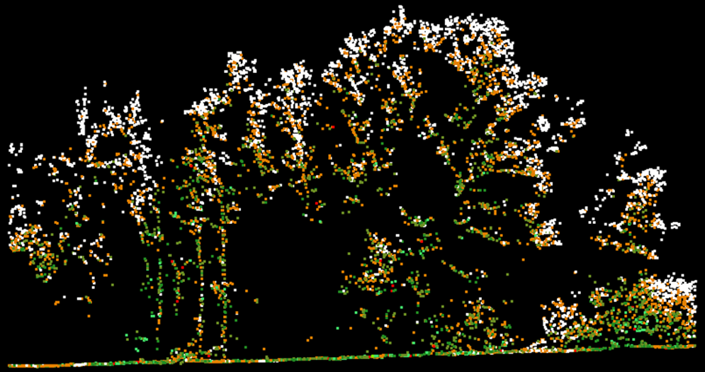 Полнота данных DJI Zenmuse L3, визуализация точек по номеру возврата луча, высота 200 м