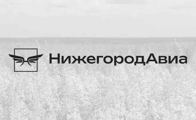 Обложка кейса Нижегородавиа