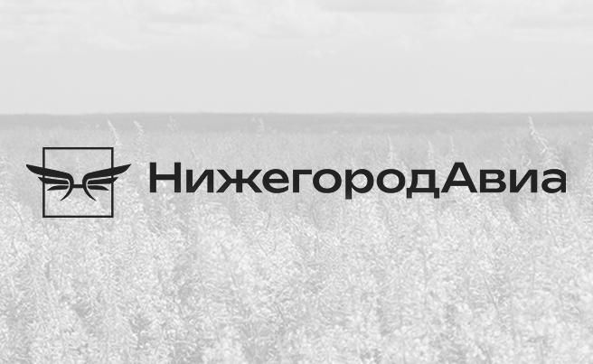 Промышленные квадрокоптеры -