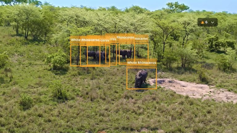 ИИ для дронов. Что показал конкурс алгоритмов DJI